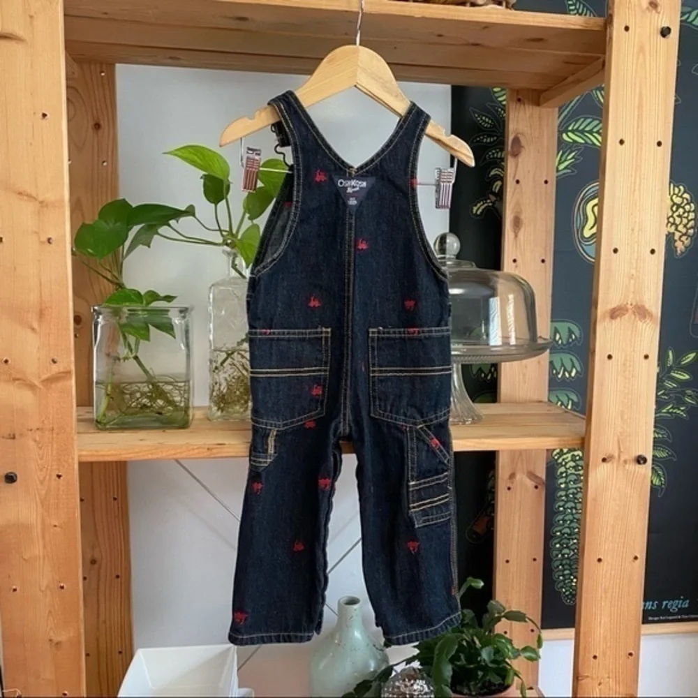 OshKosh B’gosh Red Train Embroidered Denim Overall Bibs 12 months